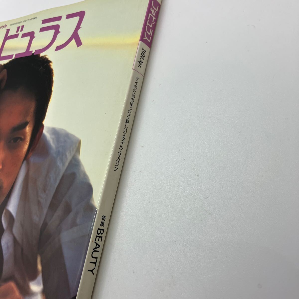 gei журнал fabyulasVol.3gei поэтому. совершенно новый стиль * журнал 2000 год 4 месяц выпуск Hasegawa sadao осмотр )ji- men роза группа 
