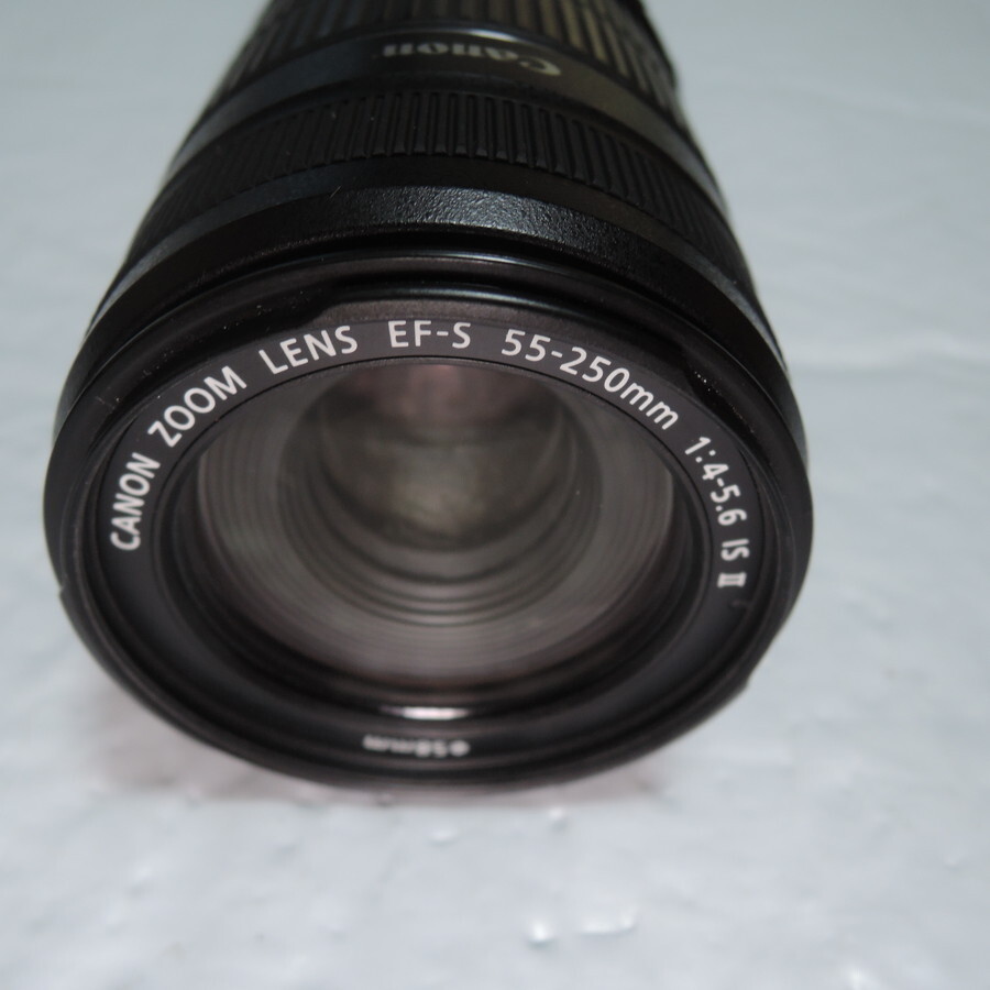 Canon EF-S55-250mm F4-5.6 IS II 2 望遠レンズ