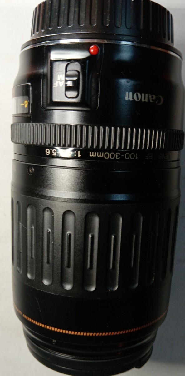 CANON ズームレンズ EF 100-300mm 1:4.5-5.6 ULTRA SONICの画像4
