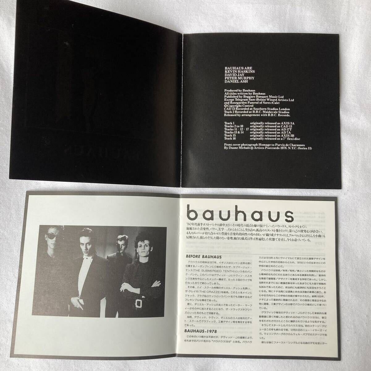 Bauhaus / In The Flat Field（バウハウス／イン・ザ・フラット・フィールド） 国内盤の画像4