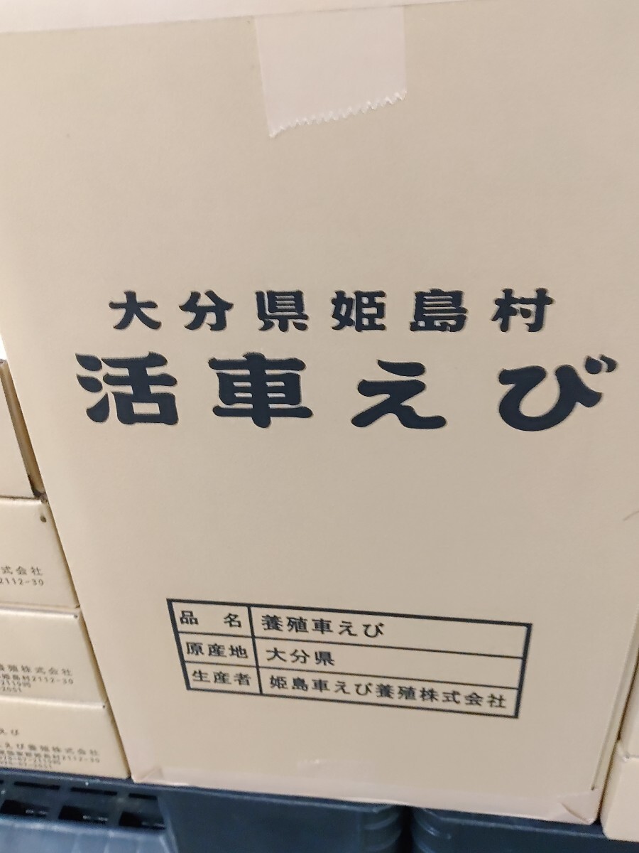 早い者勝ち！！超限定！訳なし　期間限定即日発送！！超特大車エビです。１ケース(１kg)に約２０尾〜４０尾入りです。_画像4