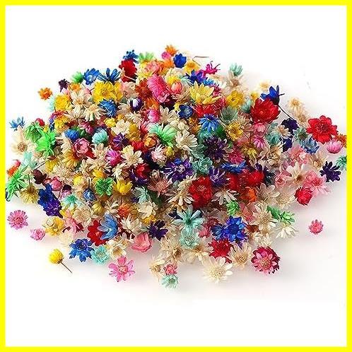 ★マルチカラー★ 材 レジン 乾燥シート ネイル 押し花 花 小さい ペンダント ミニ レジン用 スターフラワー DIY ドライフラワー 200個入りの画像1