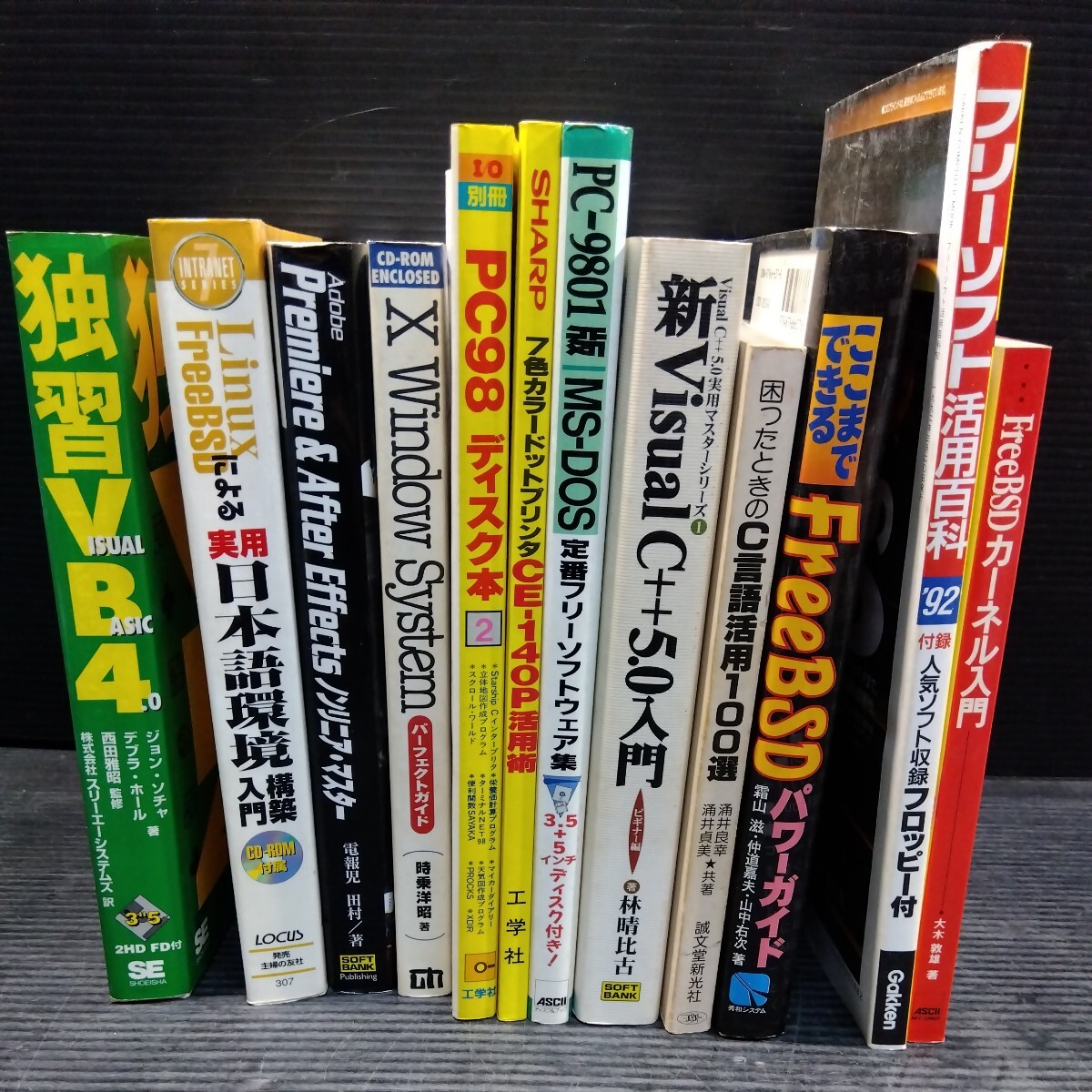 ④古本 雑誌 PC インターネット関連本まとめて フリーソフト活用百科 PC-9801 ディスク本 日本語環境構築入門 独習VB4 の画像10