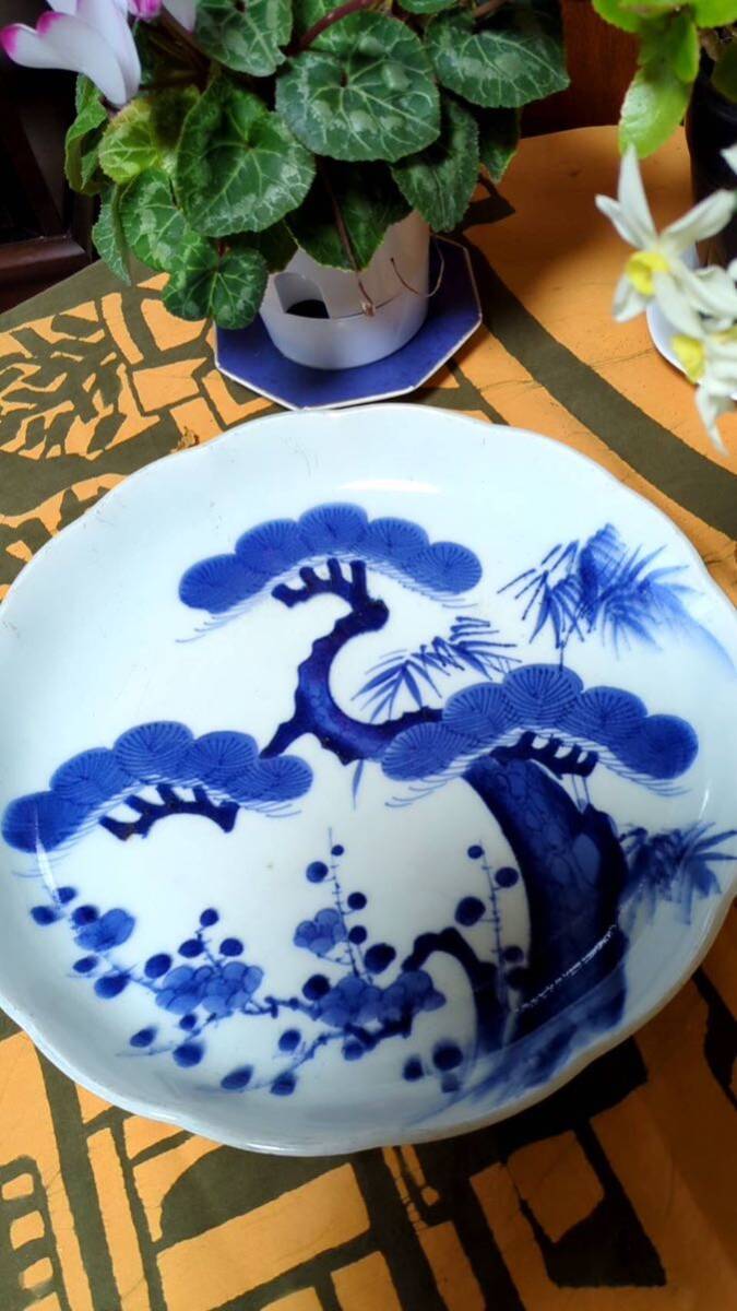 古伊万里 大皿 松竹梅図 美品 江戸時代 志田窯 丁寧 傷なし焼き良し
