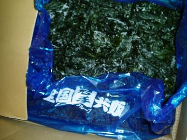 ★三陸名産！【岩手重茂・石巻十三浜産】塩蔵昆布（1ｋｇ）_画像3