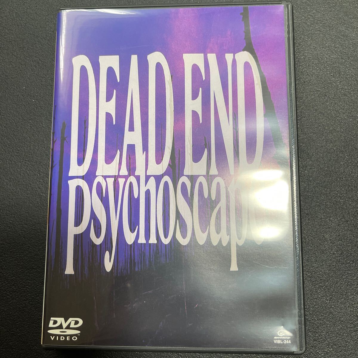 DEAD END DVD Psychoscape dvd 追悼 足立祐二 YOU morrie LIVE ライブ デッドエンド サイコスケープ USEDの画像1