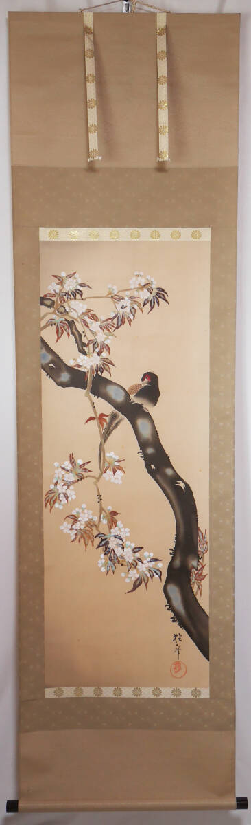 【工芸】★酒井抱一筆【桜に雉子図 さくら】◆絹本複製画  日本画 花鳥 掛軸の画像2