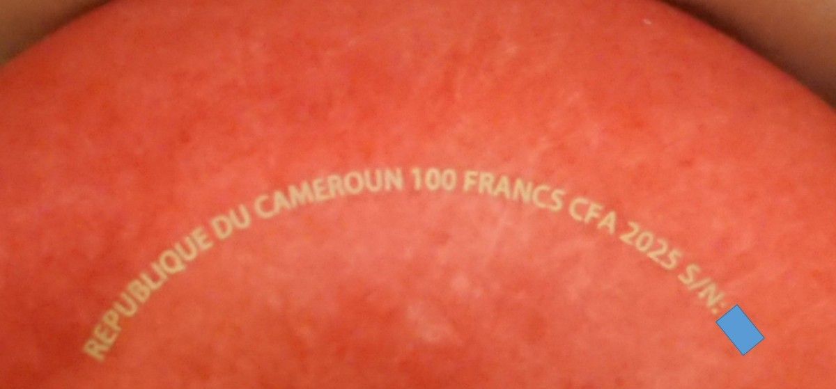 2025 カメルーン 3D形状 リンゴ型 100 フラン 銅貨