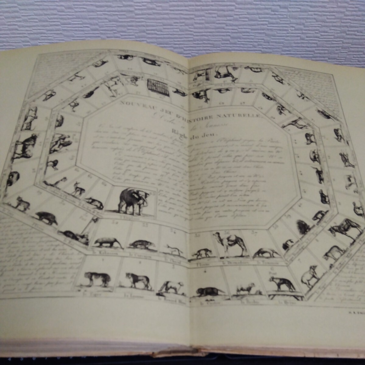 LE NOBLE JEU DE L'OIE en France, de 1640 1950 LA VIE QUOTIDIENNE A PARISde 1820 1824 フランス 貴族の双六 歴史 洋書 古書 - 洋書 LE NOBLE JEU DE L'OIE en France, de 1640 1950 LA VIE QUOTIDIENNE A PARISde 1820 1824 フランス 貴族の双六 歴史 洋書 古書 - 洋書
