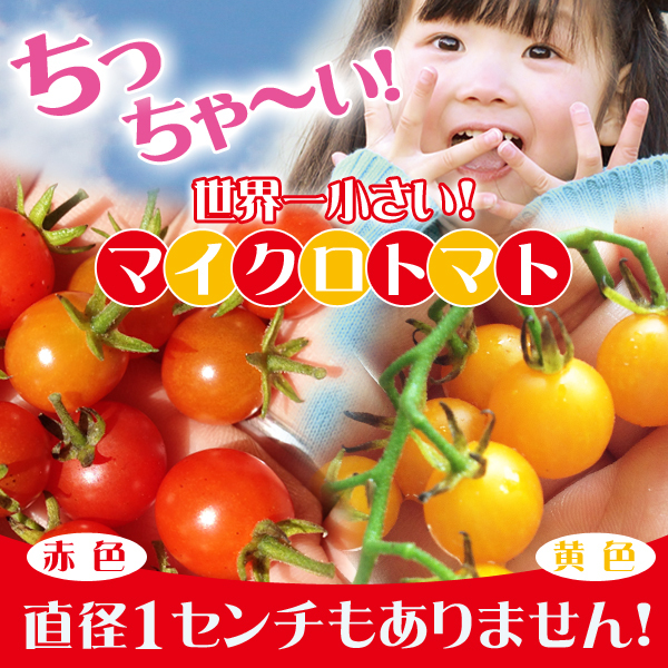 【嬉しいセット】マイクロトマト赤色・黄色の種　各10粒ずつ20粒（長野県産）_画像1