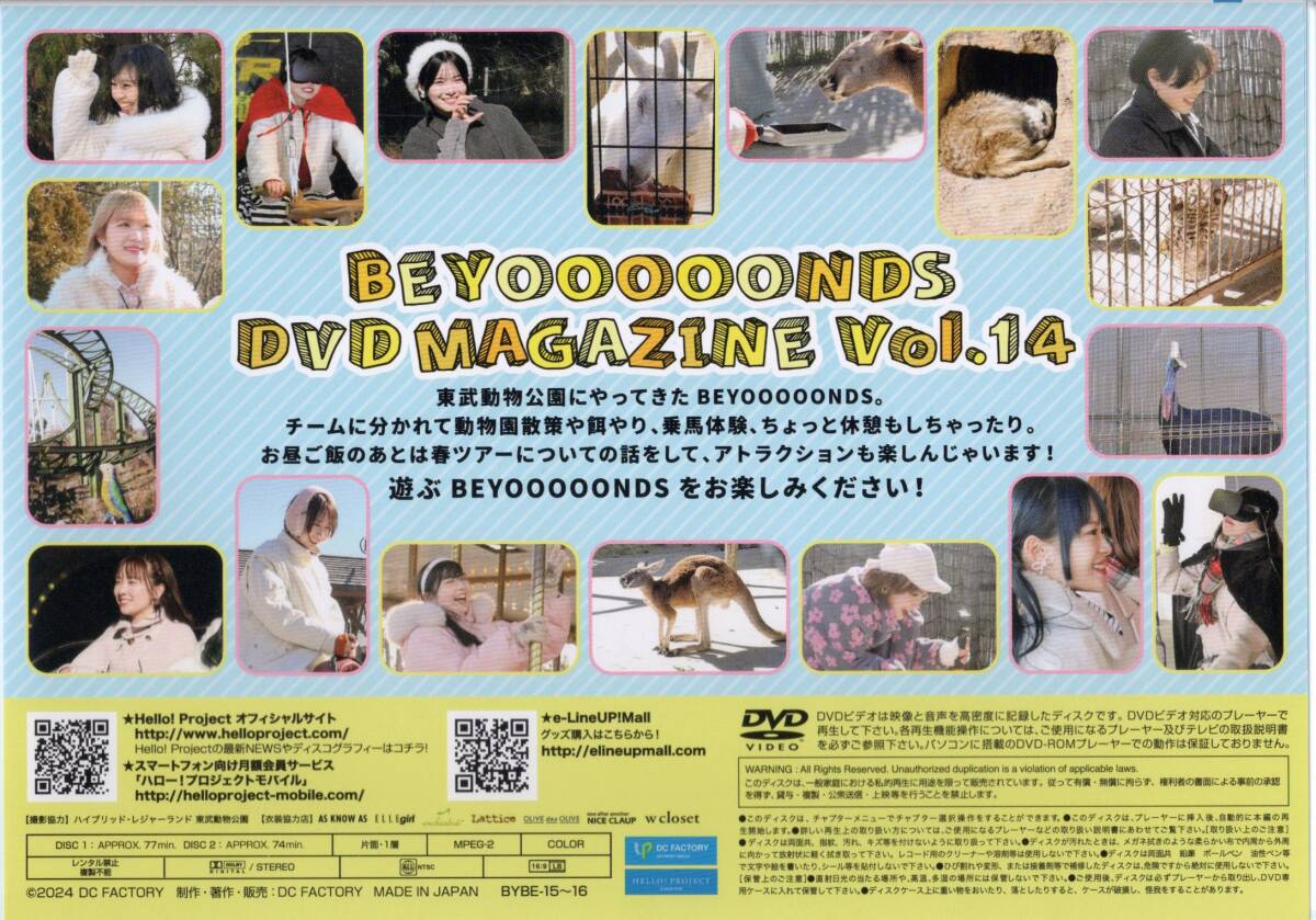 ▽BEYOOOOONDS DVDマガジン Vol.14 （２枚組）▽ビヨーンズの画像2