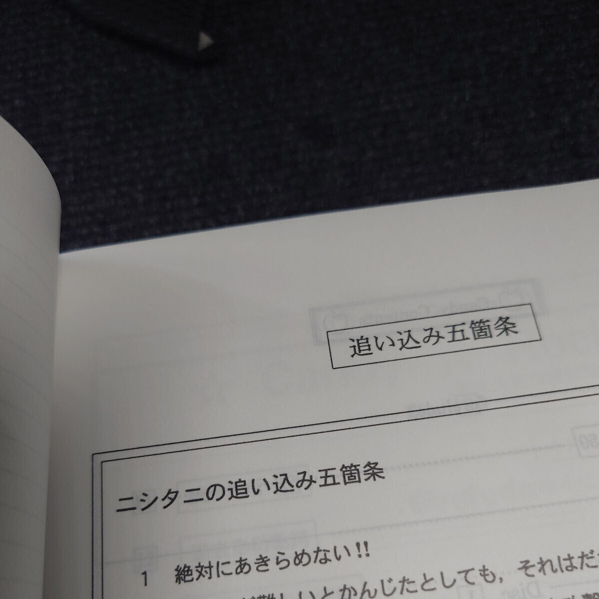 【2023年最新版】Candy Rock〈英文法・単語・構文総整理) 代ゼミ 西谷昇二 (冬期講習) 大学入試 テキスト 予備校 代々木ゼミナール【289p】_画像4