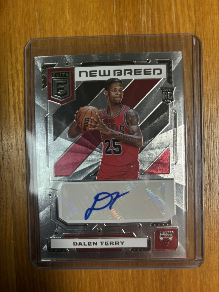 Dalen Terry 2022-23 PANINI Donruss Elite NBA NEW BREED auto RC_画像1