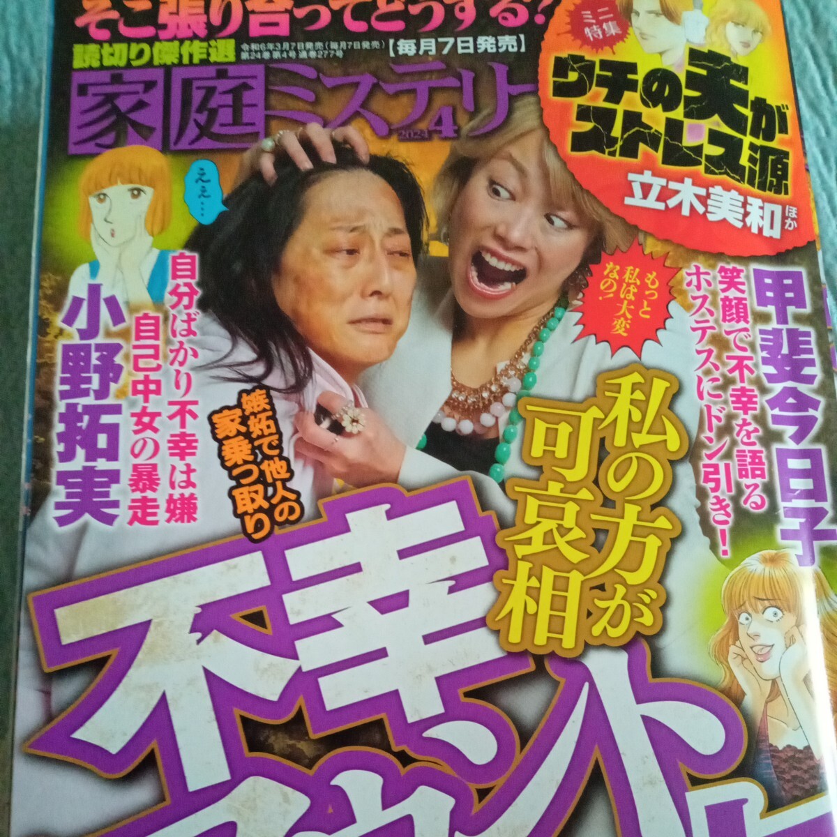 家庭ミステリー 2024年 4月号 小野拓実 川端みどり 川端みどり 井出智香恵 レディースコミックの画像1