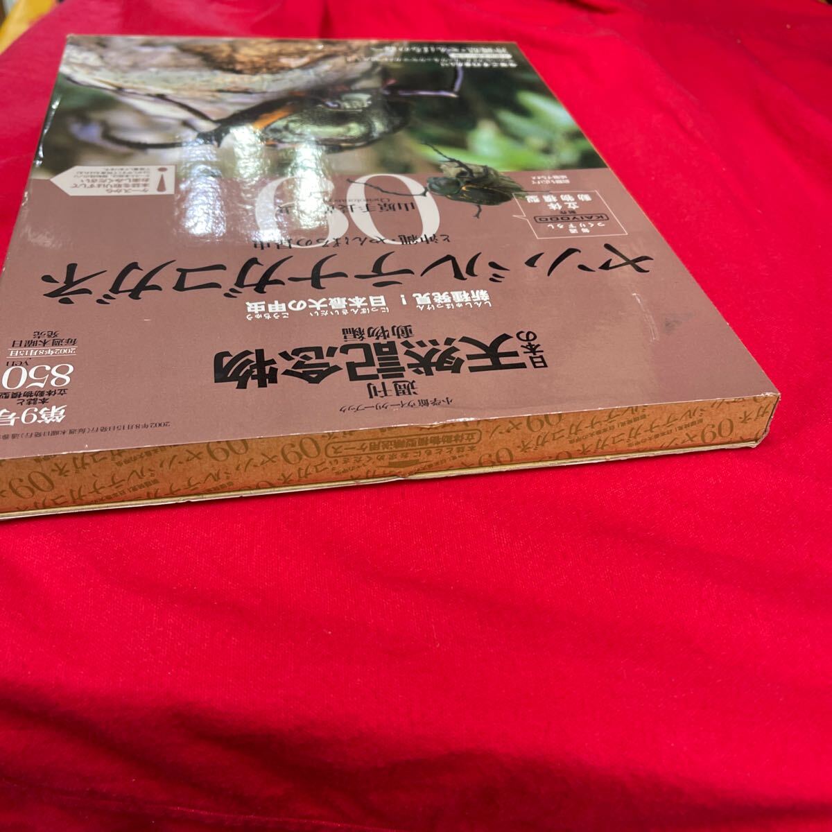 Y429. 27. 週刊　日本の天然記念物 09ヤンバルテナガコガネ　フィギュア　冊子　海洋堂. 未開封　保管品_画像4