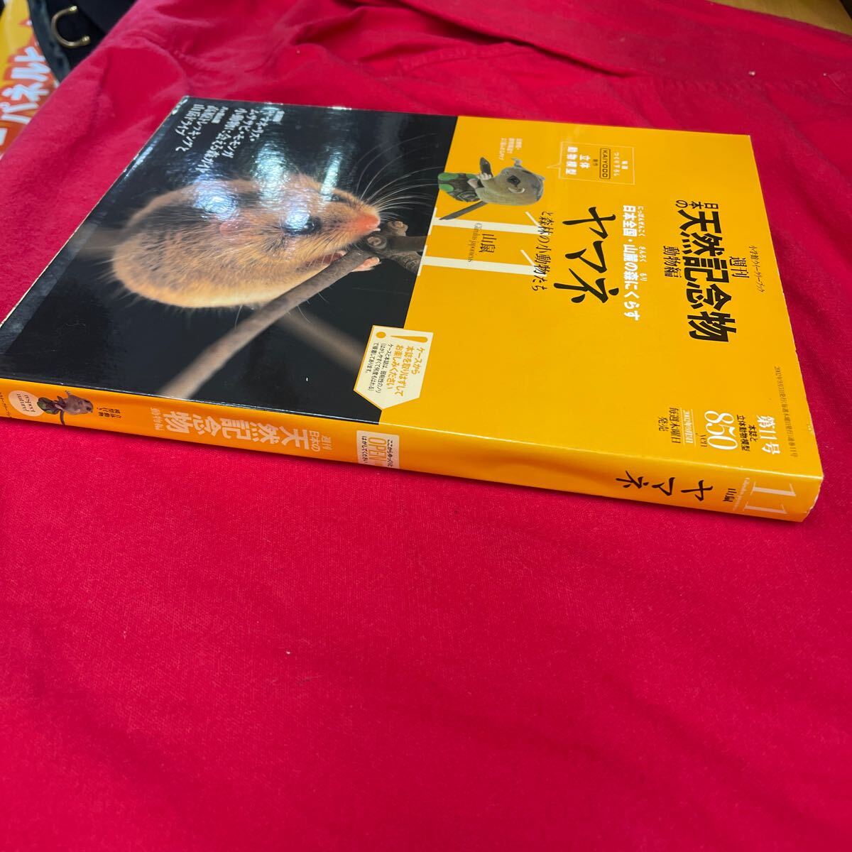 Y429. 29. 週刊　日本の天然記念物１１号　ヤマネ　フィギュア　冊子　海洋堂. 未開封　保管品_画像3