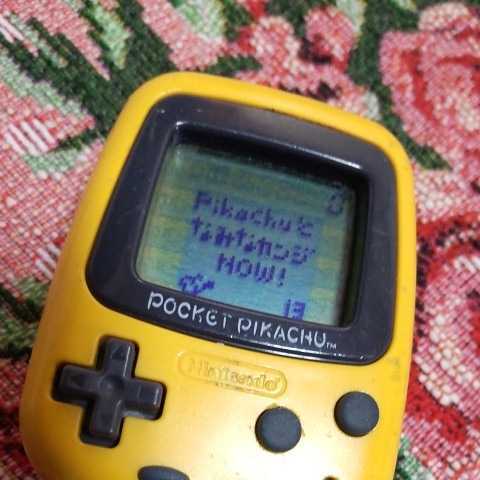  pocket Pikachu pedometer 