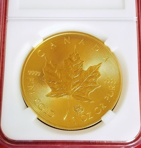 ● PCCB スラブケース入り エリザベスⅡ メイプルリーフ金貨 2021年 スラフケース入り ゴールド コイン メダルの画像2