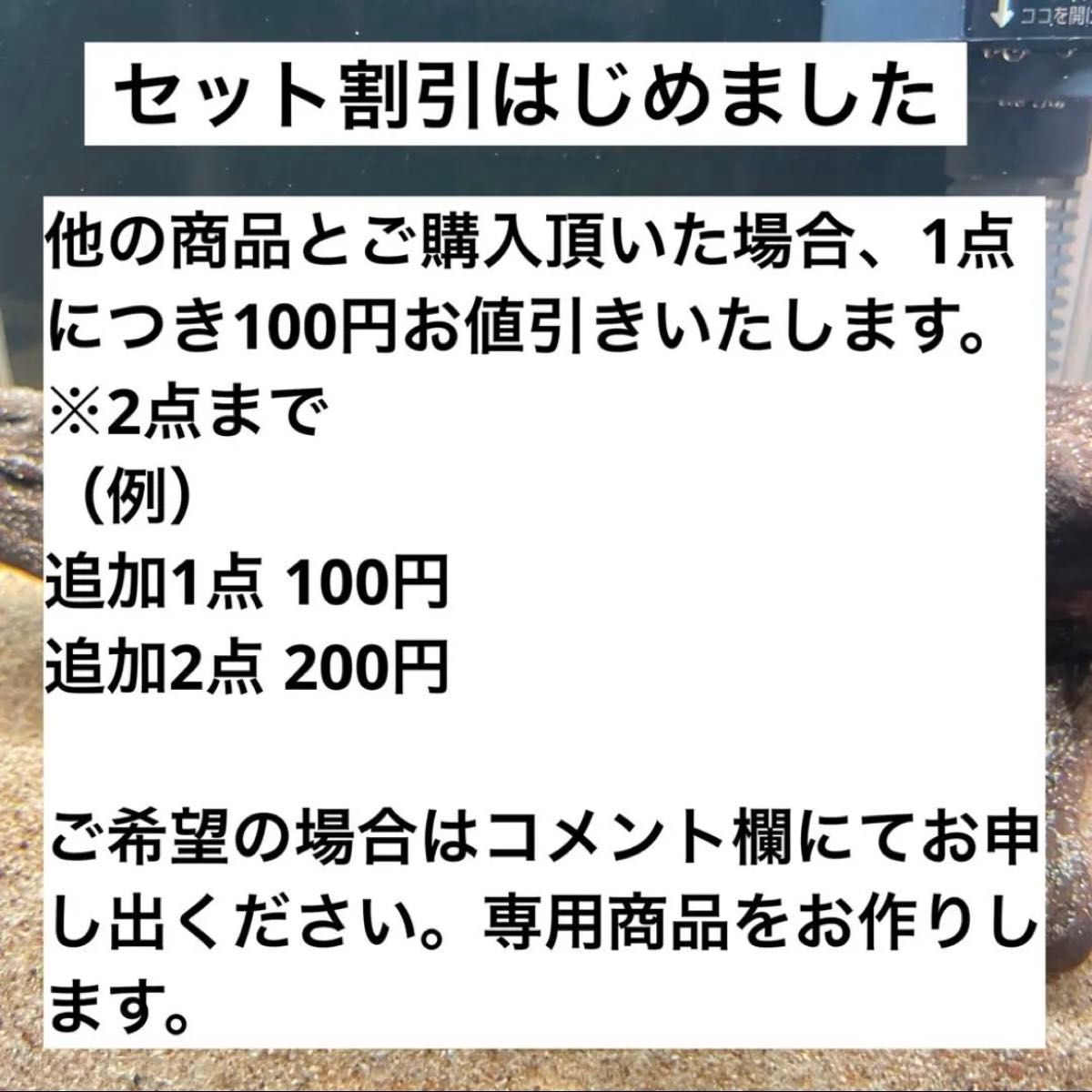 【フサフサ感が癒し】南米ウィローモス×赤溶岩石（3cm）×2個