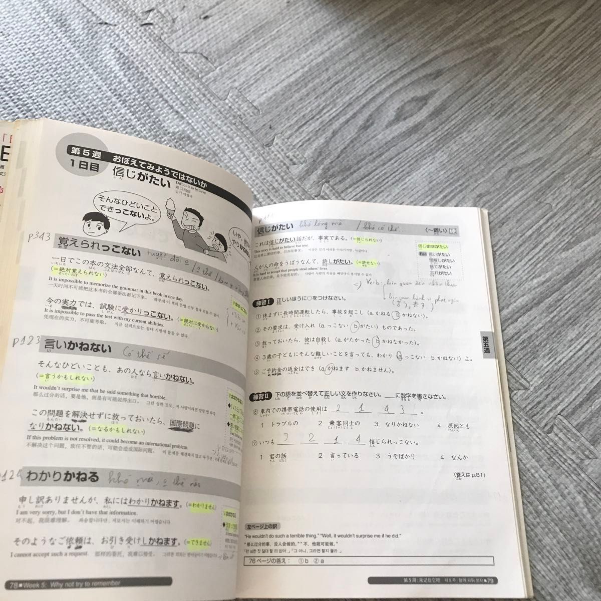 日本語総まとめ　Ｎ２文法 （「日本語能力試験」対策） 