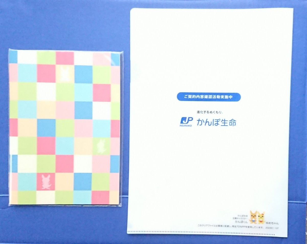 【新品 非売品】かんぽ生命 ドリカム かんぽくん ゆめちゃん コラボ A4クリアファイル&B5ノート セット