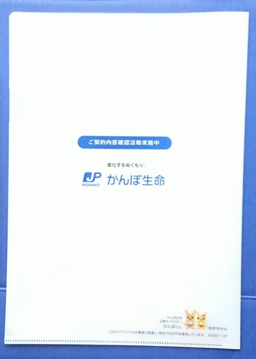 【新品 非売品】かんぽ生命 ドリカム かんぽくん ゆめちゃん コラボ A4クリアファイル&B5ノート セット