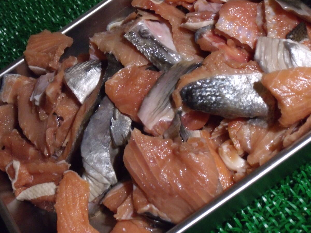 数量限定■即決■北海道産 秋鮭(白鮭)の端材 2kg(2kg×1袋) 同梱可能_画像2