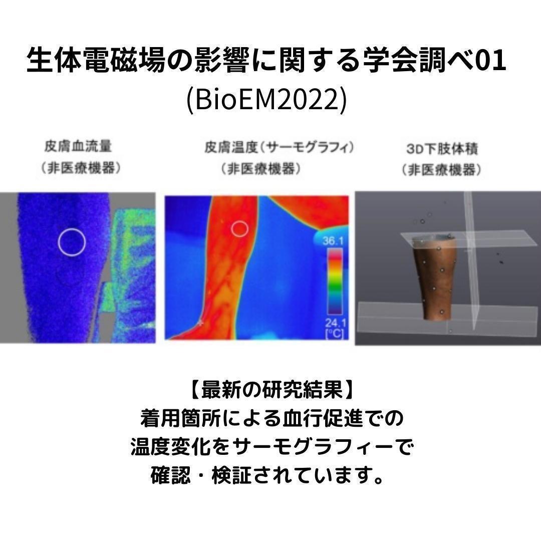 ダイエット アンクレット 2本入り 強力磁気 マグネット 血行促進 静電気除去 ヘマタイト 天然石 血行促進 健康