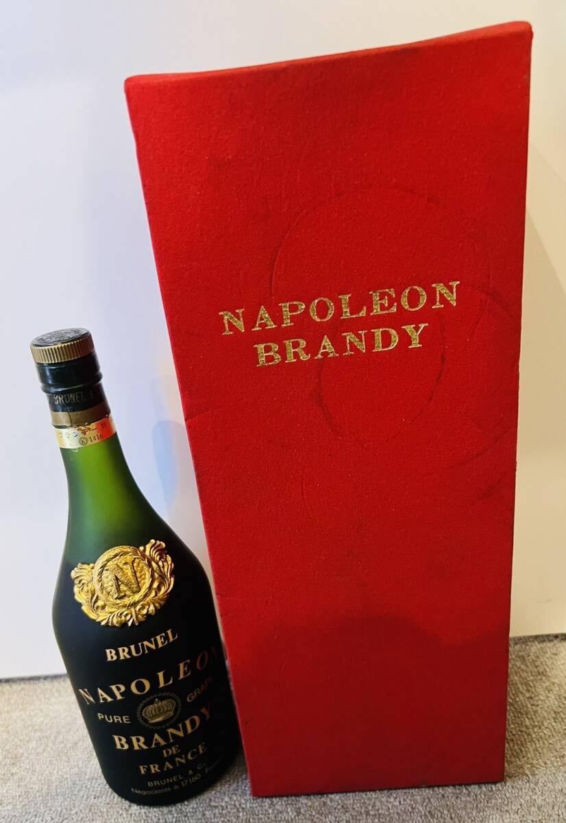 [KJ-3528SK]1 иен ~ sake . суммировать sake коллекция вино плоды sake бренди NAPOLEON Napoleon CAMUS Camus товары долгосрочного хранения collector 