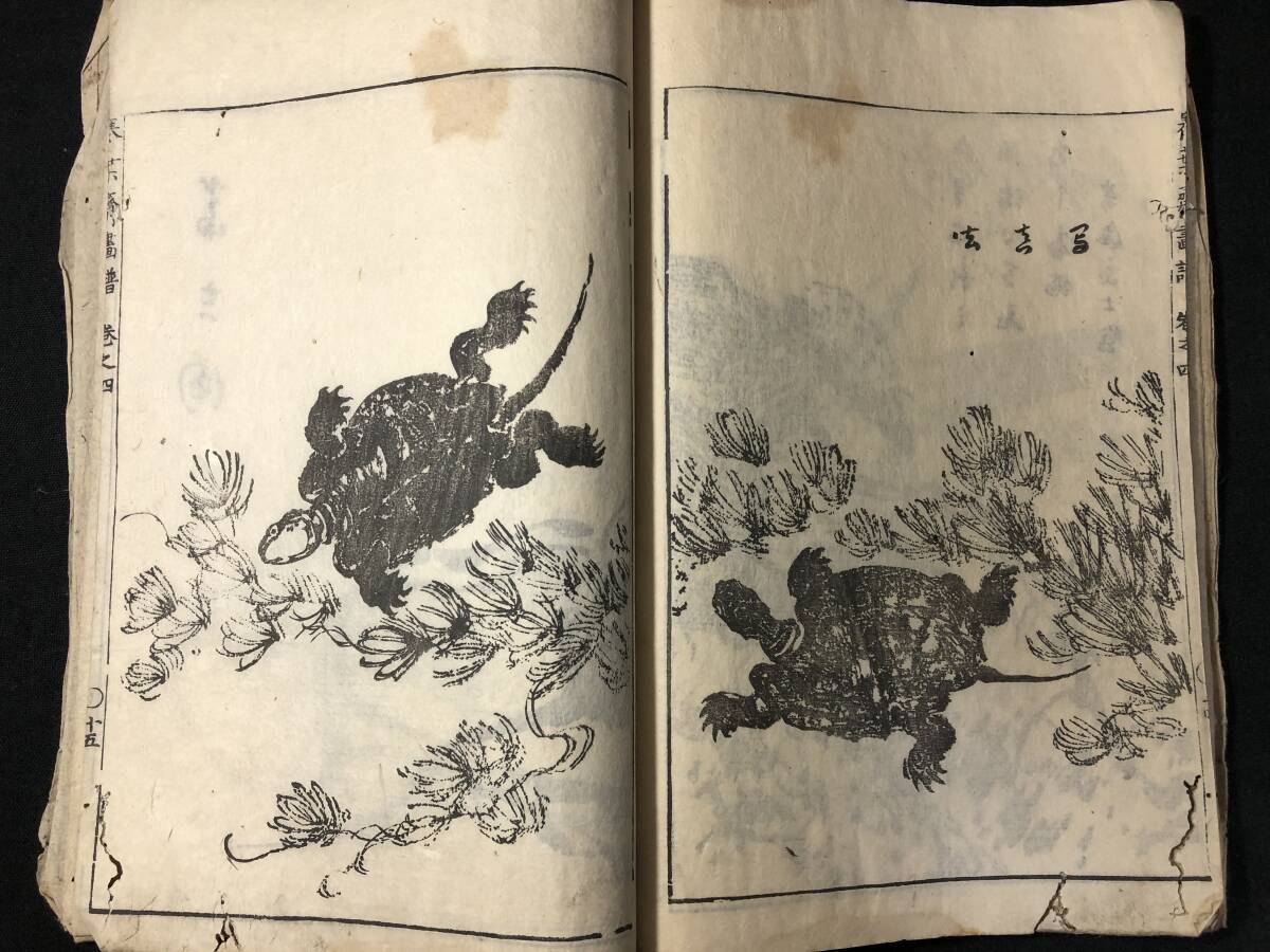 3089花鳥画 草花 山水ほか 絵入 絵本 ■寒葉斎画譜4■ 建部綾足 江戸期 木版画 木版 版画 和本浮世絵ukiyoe古書古文書和書古本骨董古美術