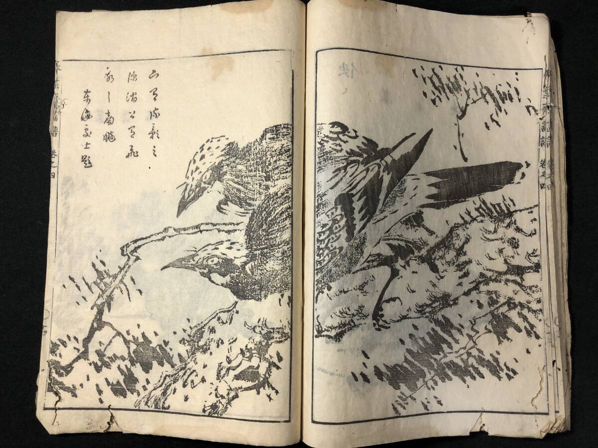 3089花鳥画 草花 山水ほか 絵入 絵本 ■寒葉斎画譜4■ 建部綾足 江戸期 木版画 木版 版画 和本浮世絵ukiyoe古書古文書和書古本骨董古美術