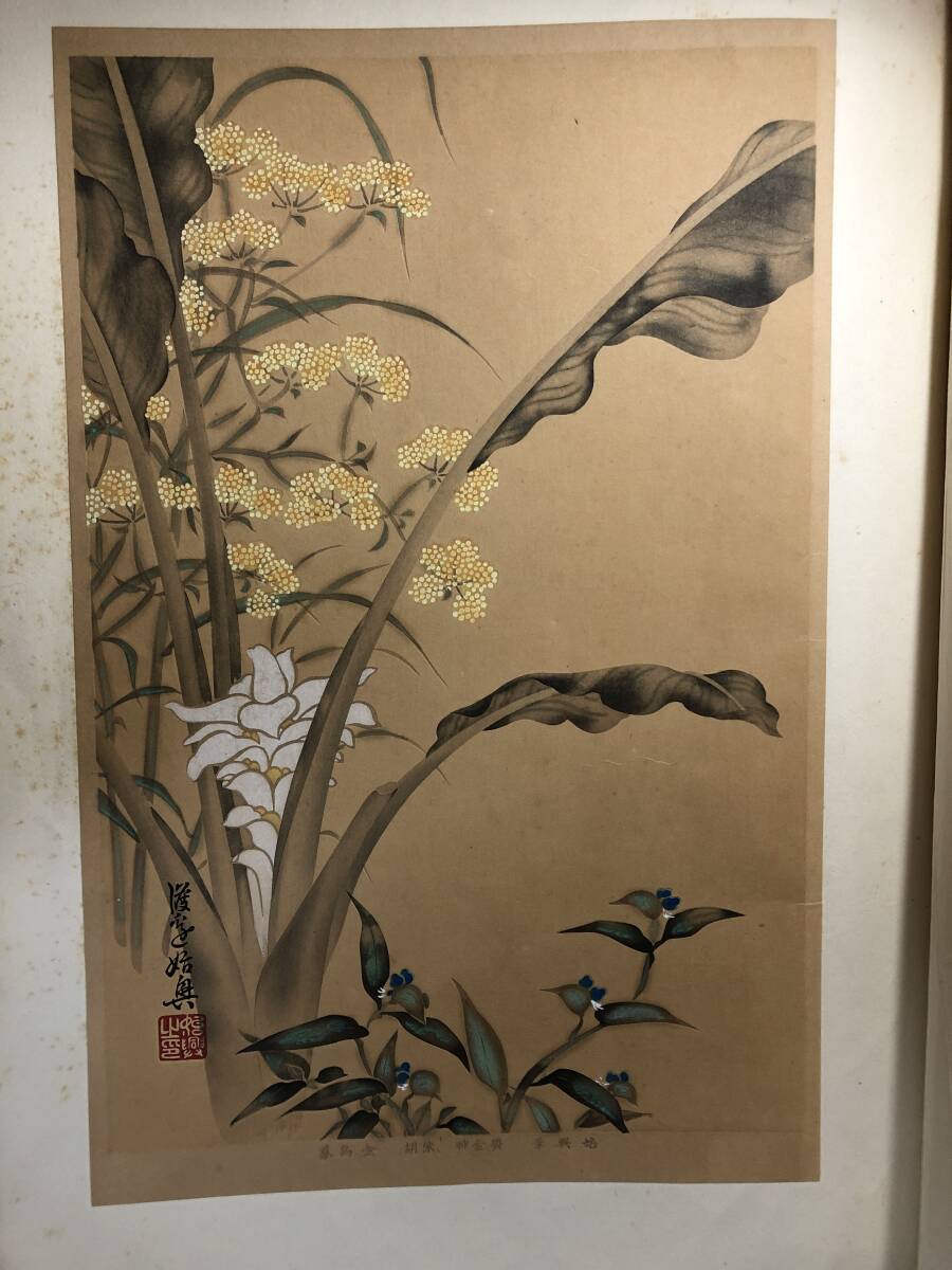 3117 coloring woodblock print extra-large book@#.. 100 ..#... one light . another all 6 sheets . go in picture book bamboo under gold bird large size woodblock print tree version woodcut war front peace book@ ukiyoe ukiyoe old book old document 
