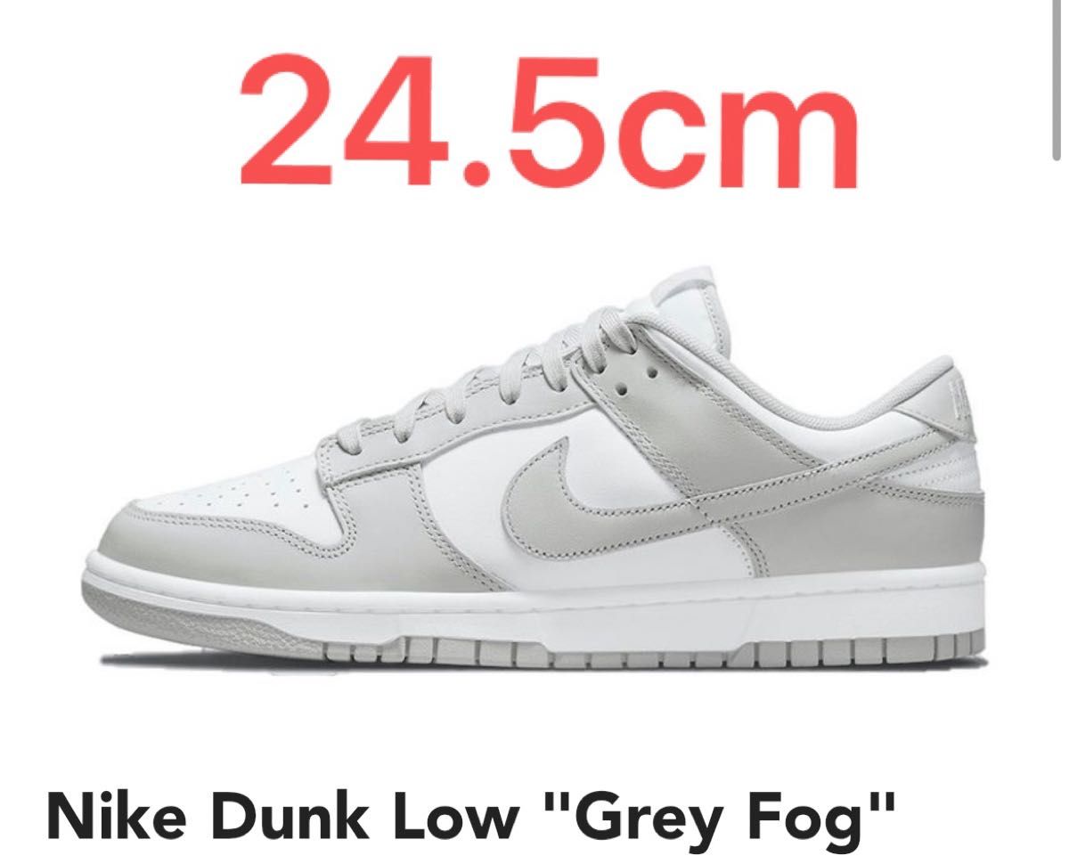 Nike Dunk Low "Grey Fog"DD1391-103