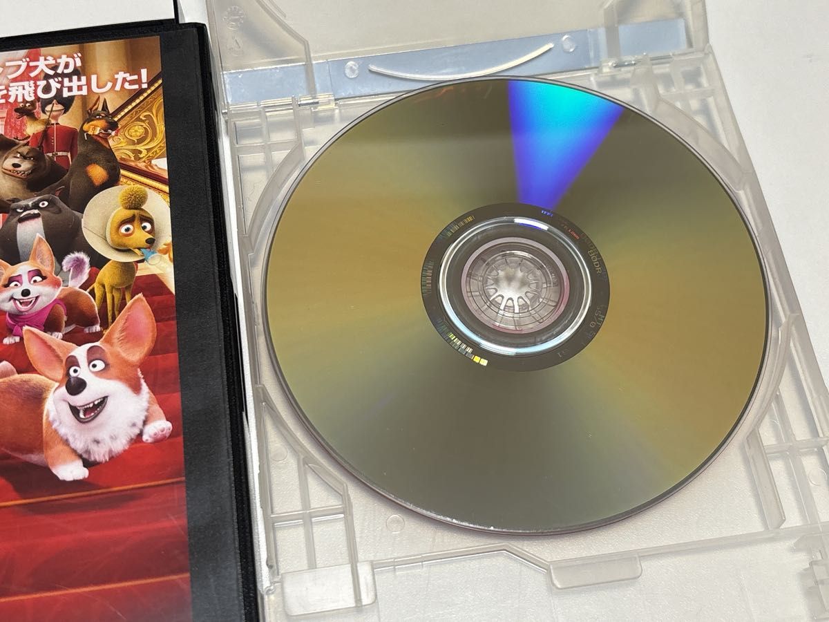 ロイヤル コーギー レックスの大冒険 DVD レンタル 洋画 アニメ 海外