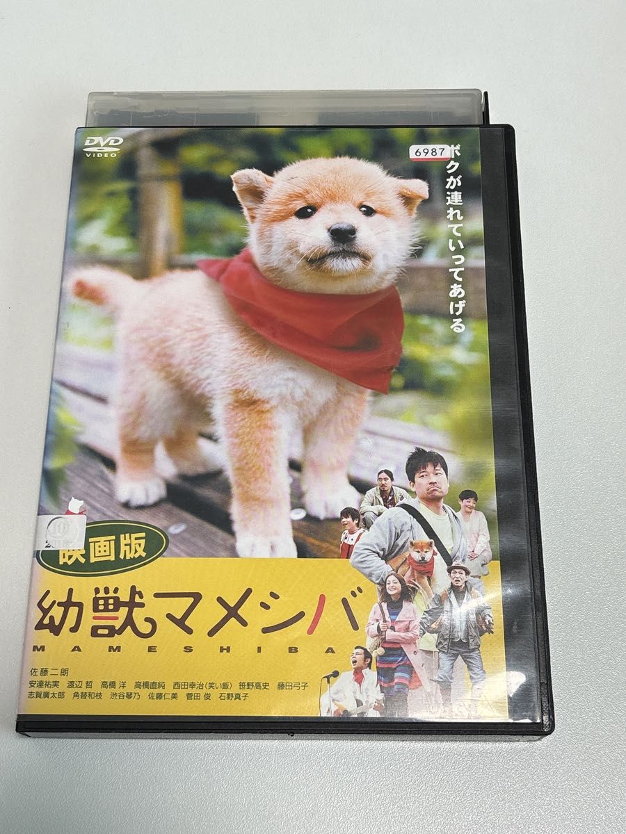 映画版 幼獣マメシバ MAMESHIBA レンタル DVD 邦画　犬　柴犬 レンタル版