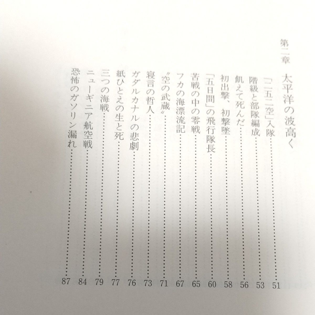 還って来た紫電改　紫電改戦闘機隊物語　新装版 （光人社ＮＦ文庫　みＮ－４８６） 宮崎勇／著　鴻農周策／補稿