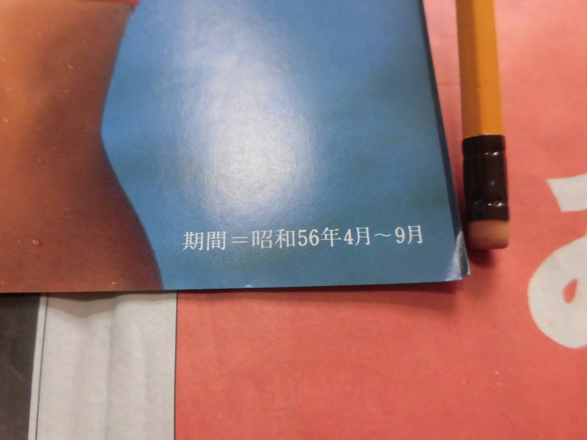 ②当時物 航空機 観光資料 昭和５６年～ 全日空 スカイホリデー沖縄 水着 海 バカンス パンフレット 旅行 昭和レトロ の画像3