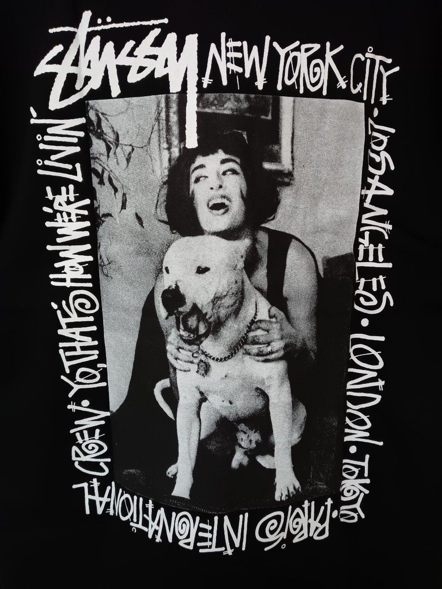STUSSY ステューシー How We're Living SS Tee 半袖 Tシャツ STUSSYステューシー新品未使用黒HOW WE'RE LIVINPIG DYFD TEE