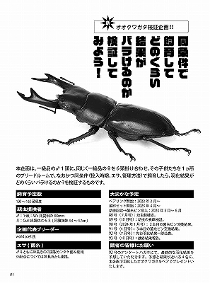 新刊発売中！2024年ビークワカレンダー付き！代引き不可！ビークワ91号 送料無料！ポイント倍！の画像9