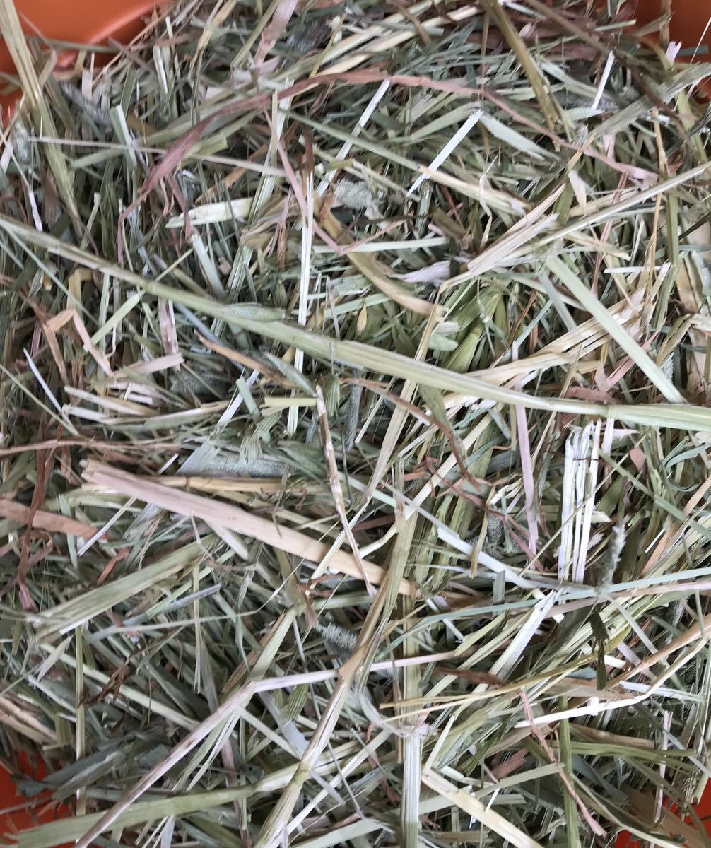  сосна . трава chimosi-*o-tsu. MIX 3.5kg