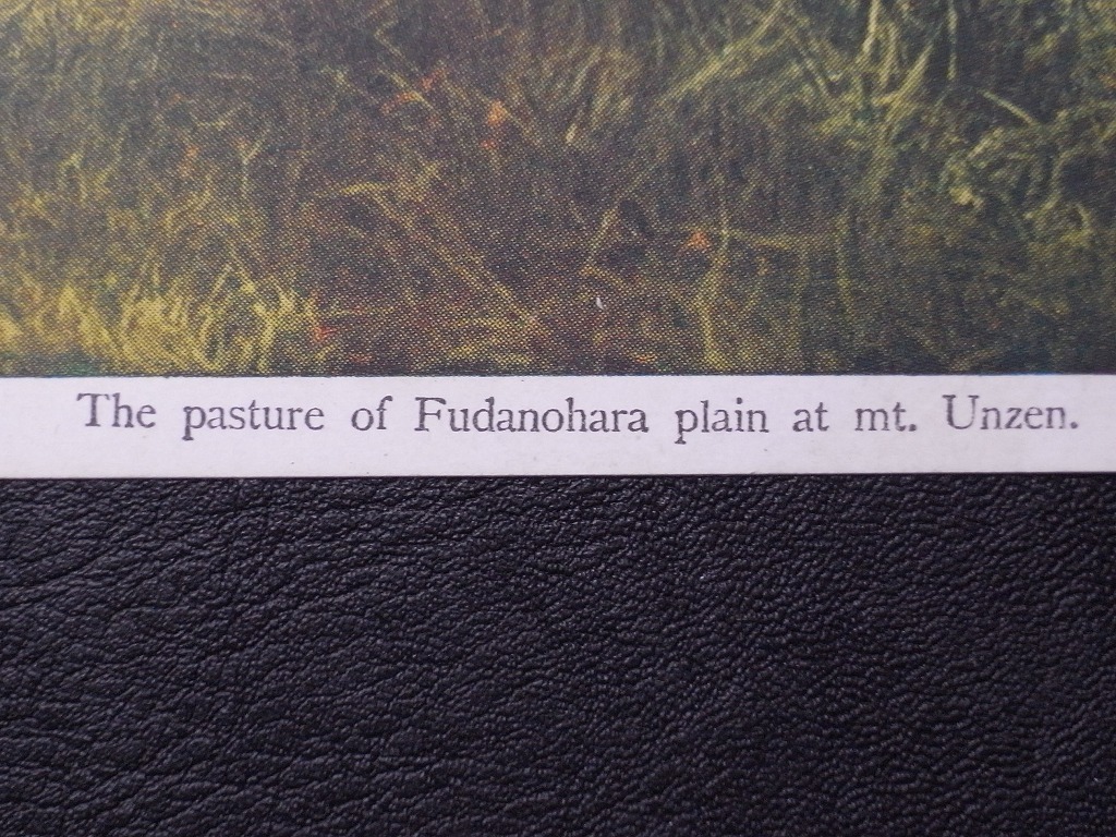 札の原放牧場 絵葉書〔A-162〕The pasture of Fudanohara plain at mt.Unzen / 戦前 写真 歴史資料 絵はがき ポストカード 佐賀県 唐津市_画像9