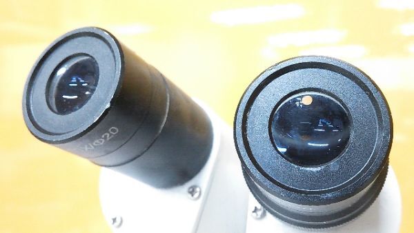(1円スタート！) フレキシブルマイクロスコープ 双眼実体顕微鏡 メーカー不明 歯科技工 動作良好 M0123T_画像3