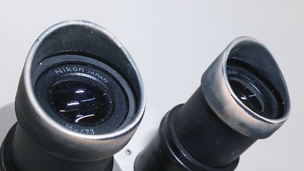 (1 иен старт!) Nikon Nikon . глаз микроскоп & HOYA-SCHOTT галоген освещение источник питания MegaLight 100 mega свет комплект работа хороший M0015