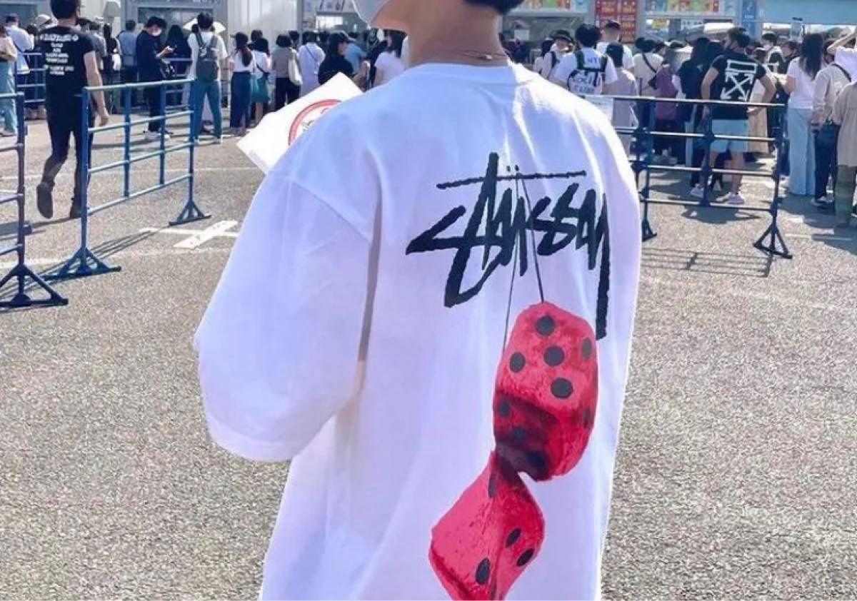 STUSSY - Fuzzy Dice Tee