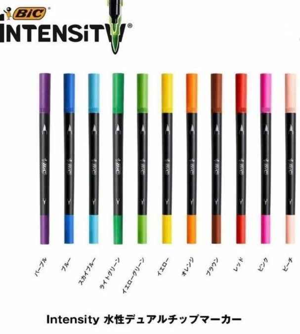 水性マーカー　12本　ビック(Bic) 水性 ペン 筆ペン 塗り絵 カラー セット Intensity デュアルチップ マーカー