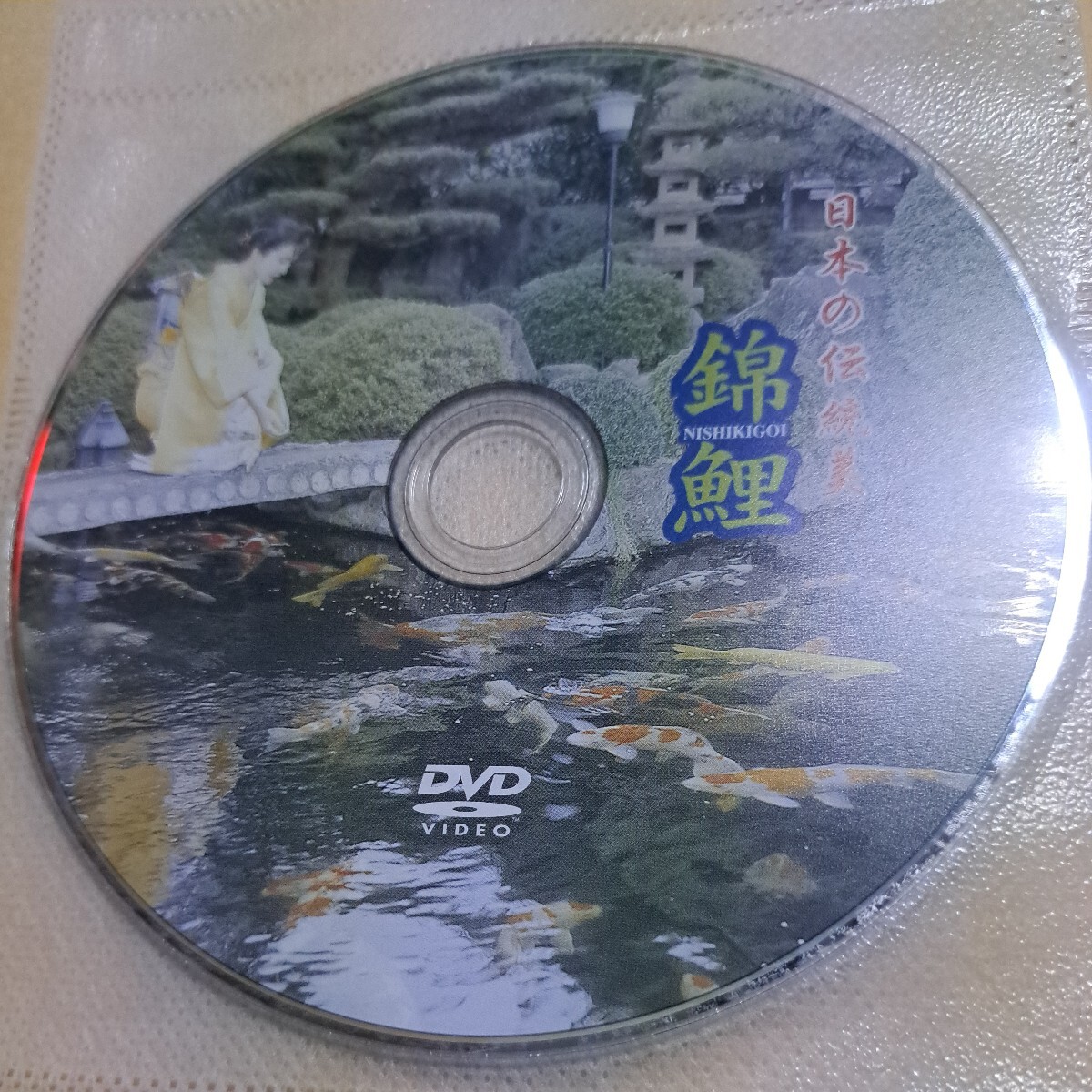 ジャンク品　日本の伝統美　錦鯉　DVD ディスクのみ　_画像1