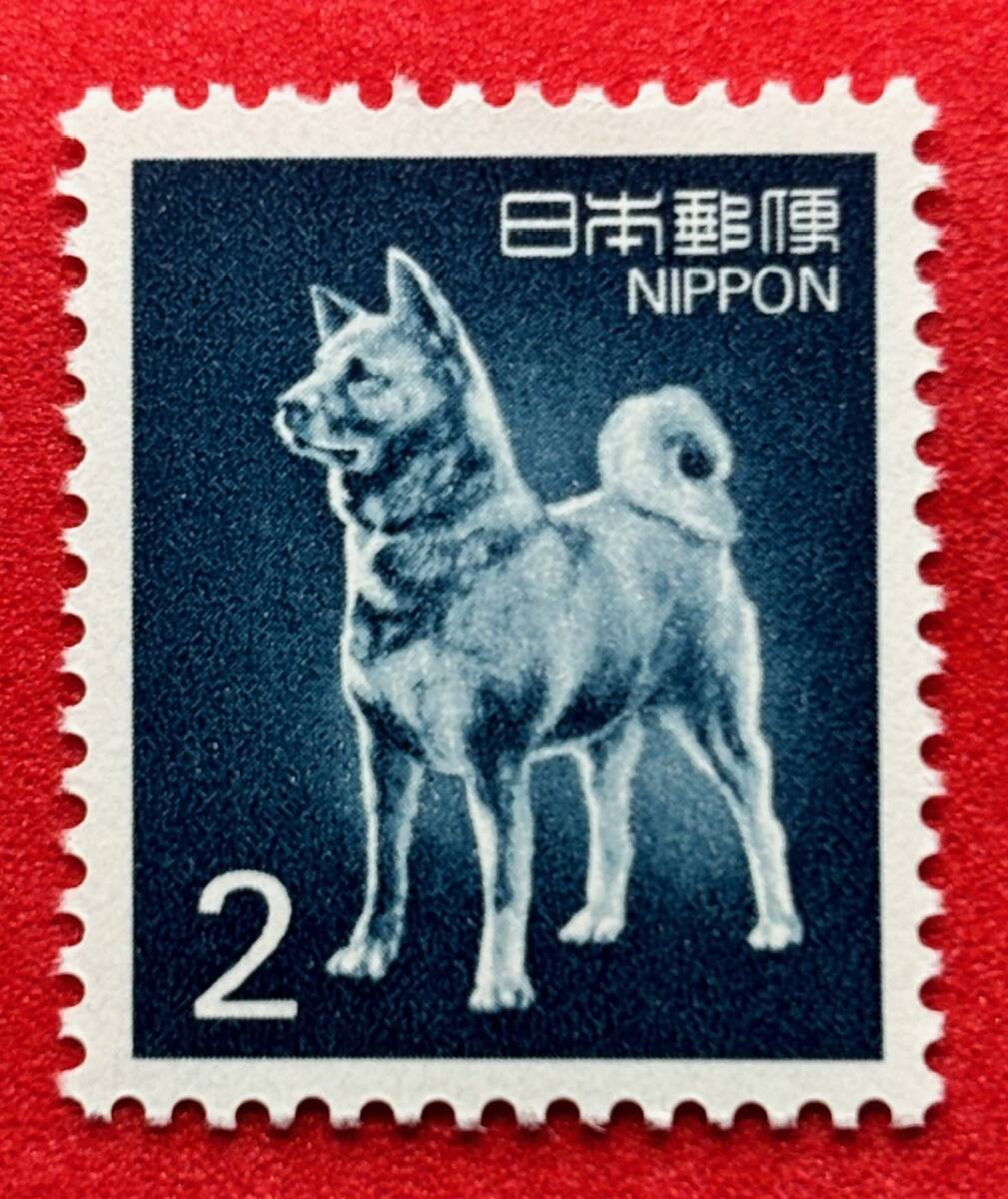 【秋田犬】2円 2種 未使用 NH美品 まとめてお取引可の画像4