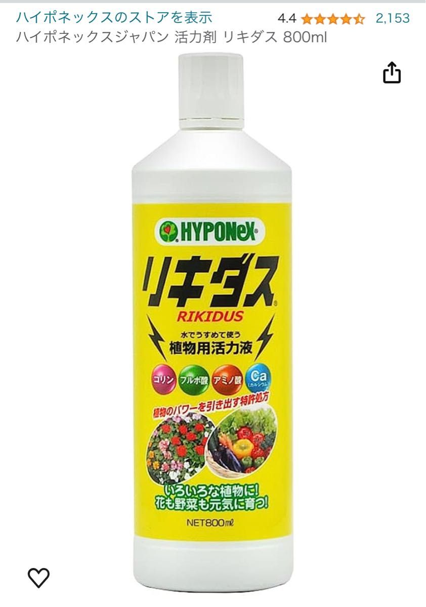 エリゲロン(多年草・グランドカバー)の根付き苗 たっぷり30株 植物活性剤(リキダス)10ml付き