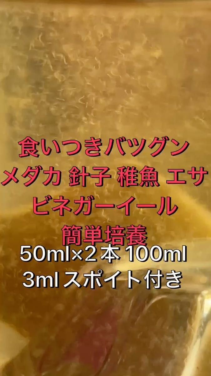 メダカ 針子 稚魚の餌 食いつき抜群 ビネガーイール 増量 50ml×2 100ml 3mlスポイト付 