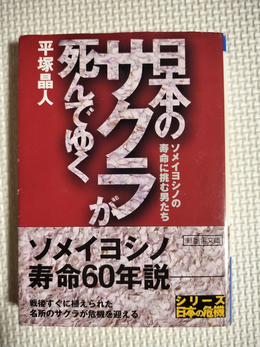 日本のサクラが死んでゆく　ソメイヨシノの寿命に挑む男たち （新風舎文庫） 平塚晶人／著